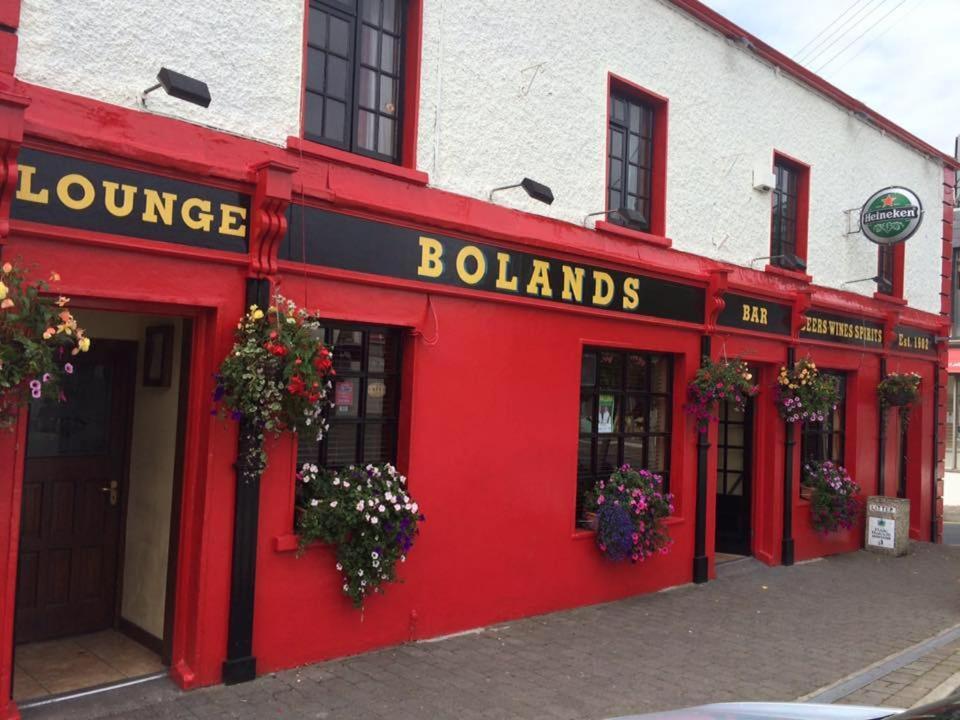 Bolands Self Catering Accommodation Hacketstown Екстер'єр фото